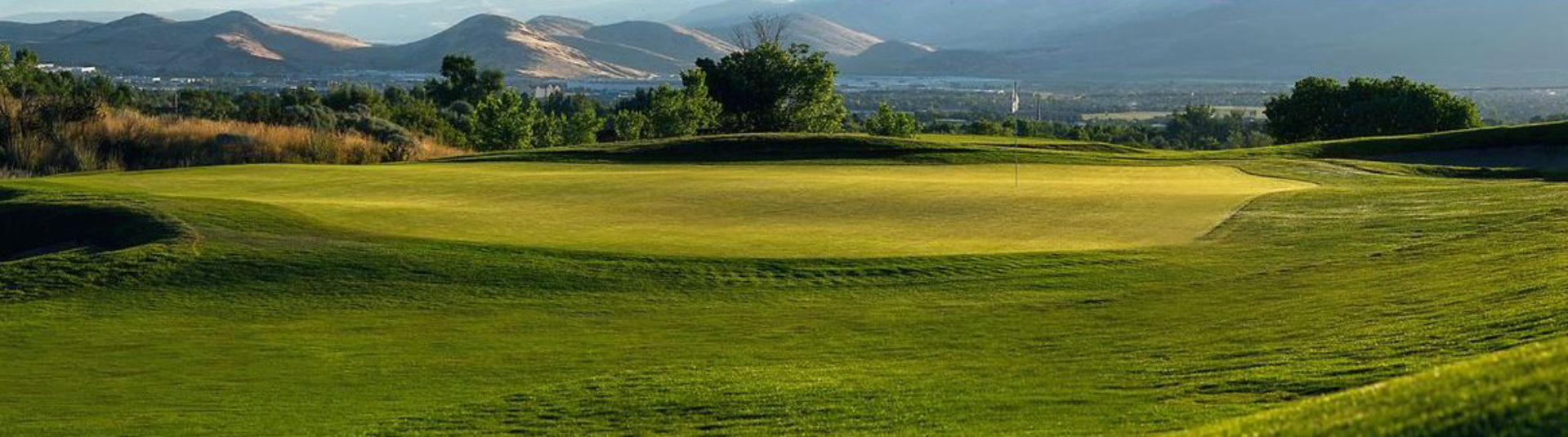 view of golf course green