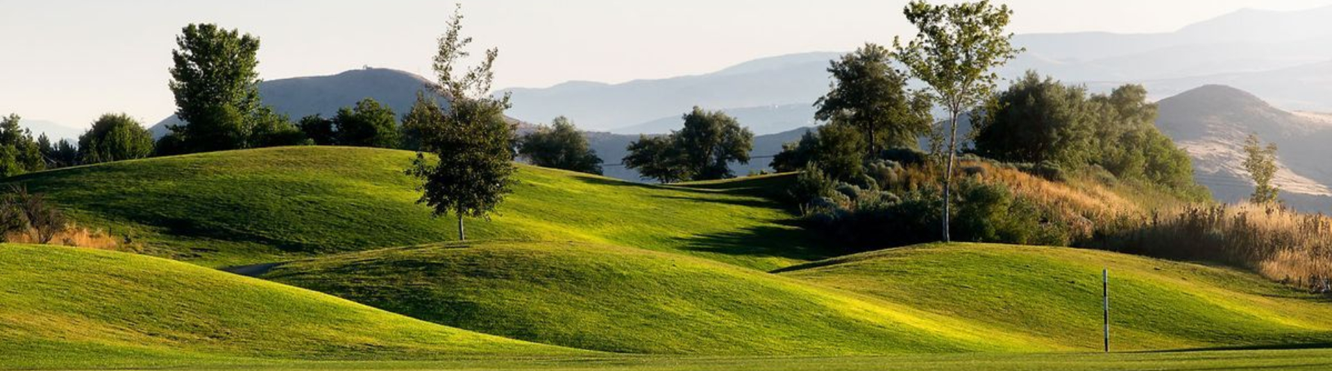 view of golf course green